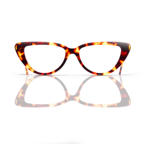 CDG TORTOISE