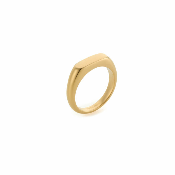 ANILLO PLANO DORADO